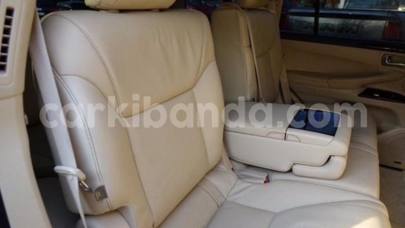 Big with watermark 28