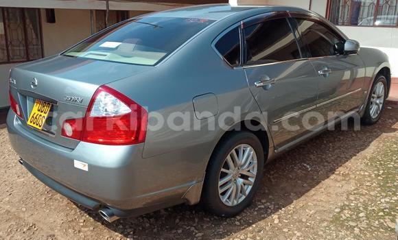 Gura Yakoze Nissan Fuga Other Imodoka i Kampala mu Uganda Gura Yakoze Nissan Fuga Other Imodoka i Kampala mu Uganda