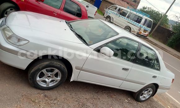 Buy Used Toyota Premio White Car in Kampala in Uganda
