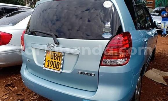 Acheter Occasion Voiture Toyota Spacio Bleu à Kampala, Ouganda Acheter Occasion Voiture Toyota Spacio Bleu à Kampala, Ouganda
