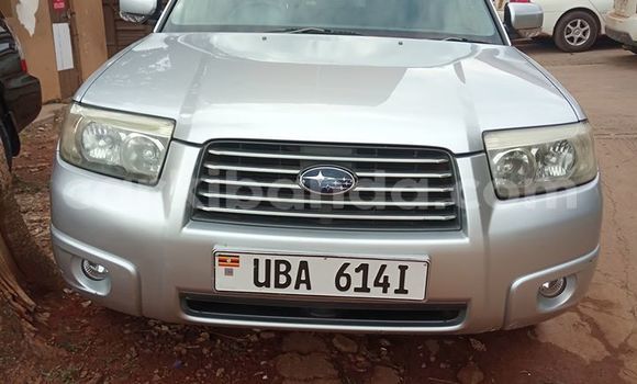 Acheter Occasion Voiture Subaru Forester Gris à Kampala, Ouganda Acheter Occasion Voiture Subaru Forester Gris à Kampala, Ouganda