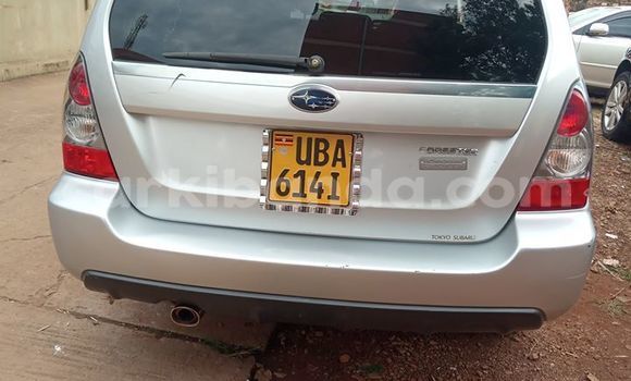Acheter Occasion Voiture Subaru Forester Gris à Kampala, Ouganda Acheter Occasion Voiture Subaru Forester Gris à Kampala, Ouganda