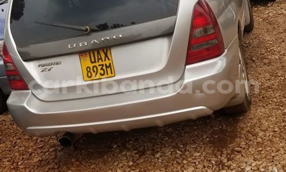Buy Used Subaru Forester Silver Car in Kampala in Uganda
