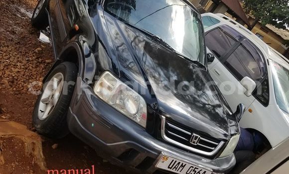 Buy Used Honda CR–V Blue Car in Kampala in Uganda