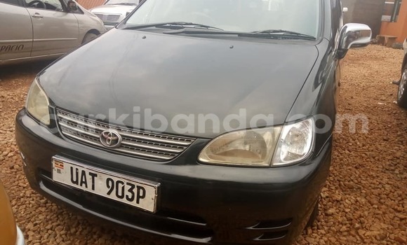 Buy Used Toyota Spacio Black Car in Kampala in Uganda