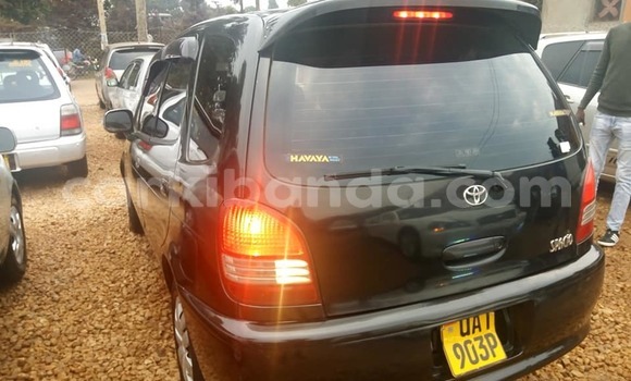 Nunua Ilio tumika Toyota Spacio Nyeusi Gari ndani ya Kampala nchini Uganda Nunua Ilio tumika Toyota Spacio Nyeusi Gari ndani ya Kampala nchini Uganda