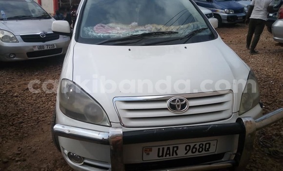 Nunua Ilio tumika Toyota Ipsum Nyeupe Gari ndani ya Adjumani nchini Kaskazini Nunua Ilio tumika Toyota Ipsum Nyeupe Gari ndani ya Adjumani nchini Kaskazini