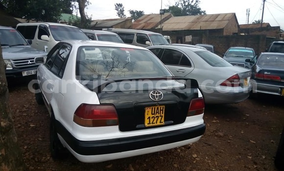 Nunua Ilio tumika Toyota Corolla Nyeupe Gari ndani ya Adjumani nchini Kaskazini Nunua Ilio tumika Toyota Corolla Nyeupe Gari ndani ya Adjumani nchini Kaskazini