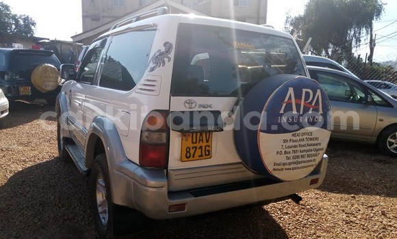 Nunua Ilio tumika Toyota Land Cruiser Prado Nyeupe Gari ndani ya Adjumani nchini Kaskazini Nunua Ilio tumika Toyota Land Cruiser Prado Nyeupe Gari ndani ya Adjumani nchini Kaskazini