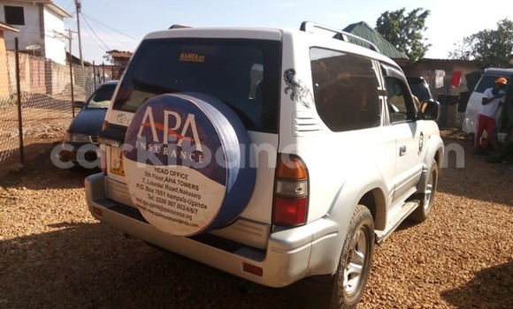 Nunua Ilio tumika Toyota Land Cruiser Prado Nyeupe Gari ndani ya Adjumani nchini Kaskazini Nunua Ilio tumika Toyota Land Cruiser Prado Nyeupe Gari ndani ya Adjumani nchini Kaskazini