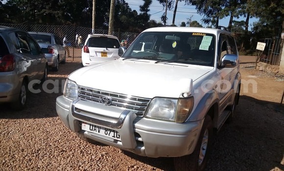Nunua Ilio tumika Toyota Land Cruiser Prado Nyeupe Gari ndani ya Adjumani nchini Kaskazini Nunua Ilio tumika Toyota Land Cruiser Prado Nyeupe Gari ndani ya Adjumani nchini Kaskazini