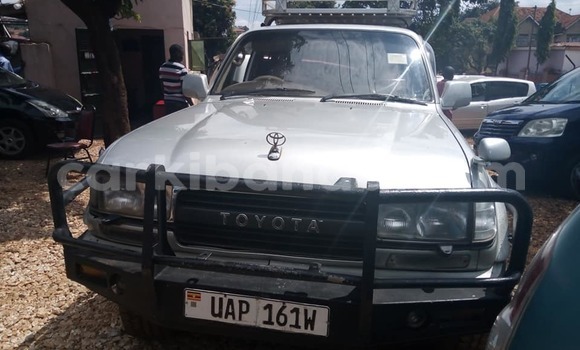 Acheter Occasion Voiture Toyota Land Cruiser Gris à Adjumani, Nord