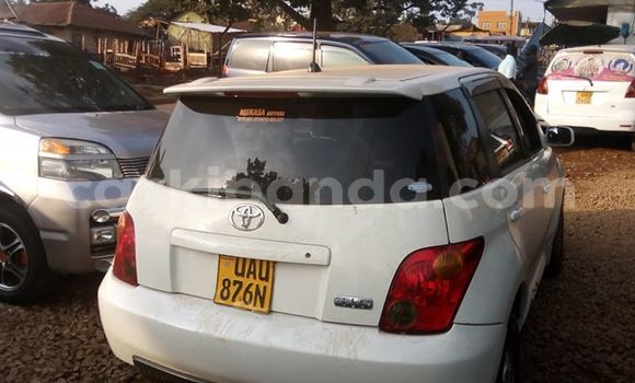 Nunua Ilio tumika Toyota IST Nyeupe Gari ndani ya Adjumani nchini Kaskazini Nunua Ilio tumika Toyota IST Nyeupe Gari ndani ya Adjumani nchini Kaskazini