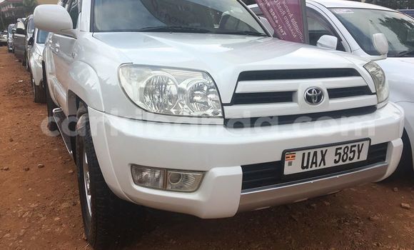 Buy Used Toyota Hilux White Car in Kampala in Uganda Buy Used Toyota Hilux White Car in Kampala in Uganda