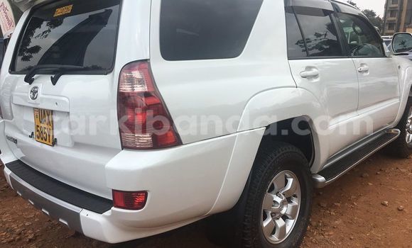 Acheter Occasion Voiture Toyota Hilux Blanc à Kampala, Ouganda Acheter Occasion Voiture Toyota Hilux Blanc à Kampala, Ouganda