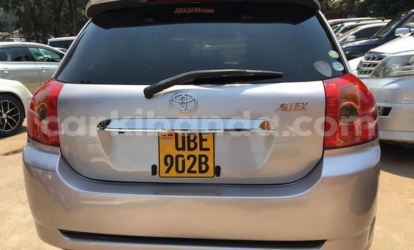 Acheter Occasion Voiture Toyota Allex Gris à Kampala, Ouganda Acheter Occasion Voiture Toyota Allex Gris à Kampala, Ouganda