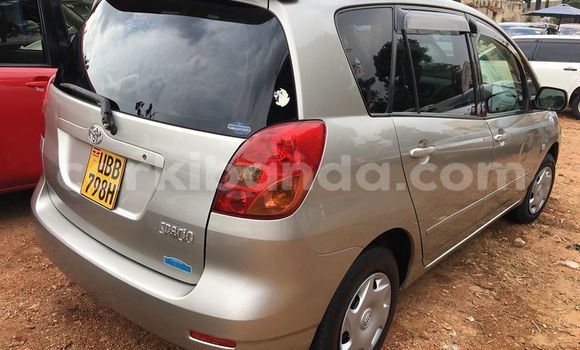 Acheter Occasion Voiture Toyota Spacio Gris à Kampala, Ouganda Acheter Occasion Voiture Toyota Spacio Gris à Kampala, Ouganda
