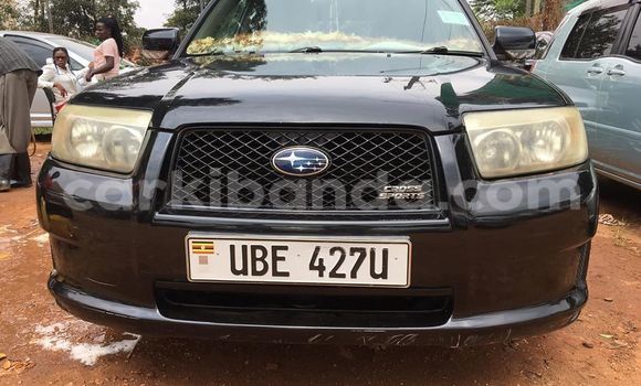 Acheter Occasion Voiture Subaru Forester Noir à Kampala, Ouganda Acheter Occasion Voiture Subaru Forester Noir à Kampala, Ouganda