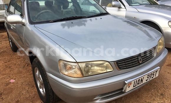 Gura Yakoze Toyota Corolla Silver Imodoka i Kampala mu Uganda Gura Yakoze Toyota Corolla Silver Imodoka i Kampala mu Uganda