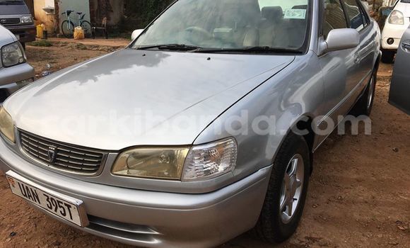 Gura Yakoze Toyota Corolla Silver Imodoka i Kampala mu Uganda Gura Yakoze Toyota Corolla Silver Imodoka i Kampala mu Uganda
