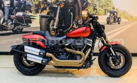 Buy Used Harley Davidson Dyna Red Bike in Bombo in Central