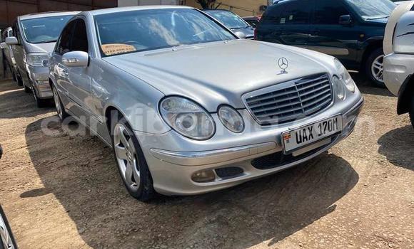 Buy Used Mercedes‒Benz E–Class Silver Car in Kampala in Uganda