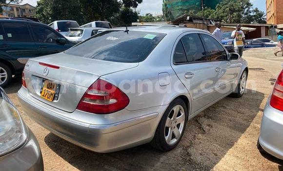 Acheter Occasion Voiture Mercedes‒Benz E–Class Gris à Kampala, Ouganda Acheter Occasion Voiture Mercedes‒Benz E–Class Gris à Kampala, Ouganda