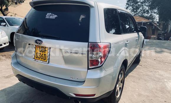 Acheter Neuf Voiture Subaru Forester Gris à Kampala, Ouganda Acheter Neuf Voiture Subaru Forester Gris à Kampala, Ouganda