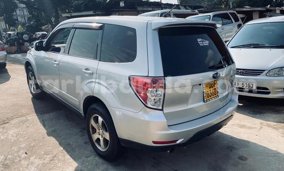 Acheter Neuf Voiture Subaru Forester Gris à Kampala, Ouganda Acheter Neuf Voiture Subaru Forester Gris à Kampala, Ouganda