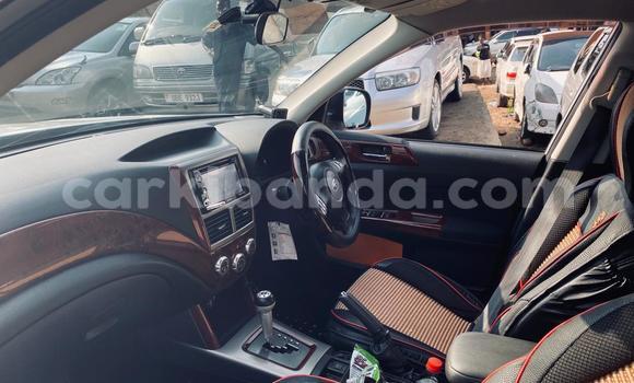 Acheter Neuf Voiture Subaru Forester Gris à Kampala, Ouganda Acheter Neuf Voiture Subaru Forester Gris à Kampala, Ouganda