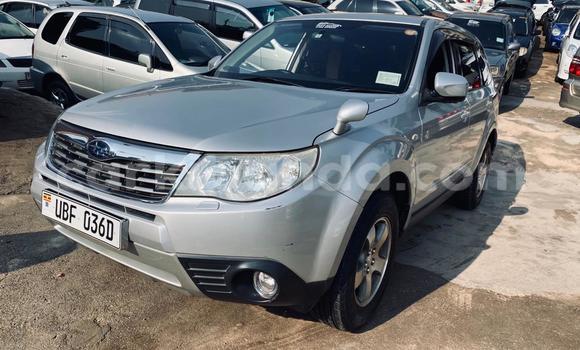 Acheter Neuf Voiture Subaru Forester Gris à Kampala, Ouganda Acheter Neuf Voiture Subaru Forester Gris à Kampala, Ouganda