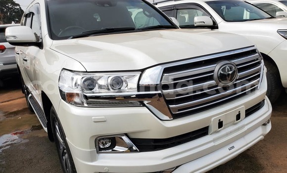 Buy Used Toyota Land Cruiser White Car in Kampala in Uganda