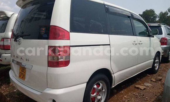 Nunua Ilio tumika Toyota Noah Nyeupe Gari ndani ya Adjumani nchini Kaskazini Nunua Ilio tumika Toyota Noah Nyeupe Gari ndani ya Adjumani nchini Kaskazini