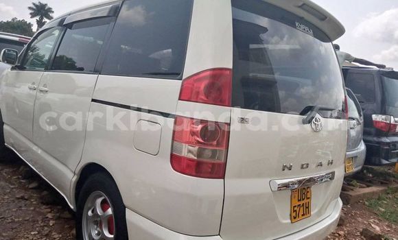 Nunua Ilio tumika Toyota Noah Nyeupe Gari ndani ya Adjumani nchini Kaskazini Nunua Ilio tumika Toyota Noah Nyeupe Gari ndani ya Adjumani nchini Kaskazini