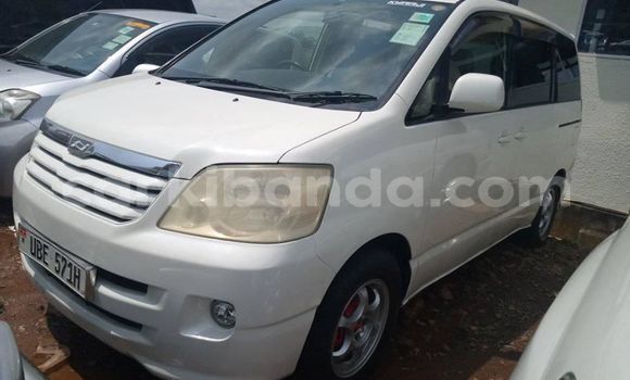 Nunua Ilio tumika Toyota Noah Nyeupe Gari ndani ya Adjumani nchini Kaskazini Nunua Ilio tumika Toyota Noah Nyeupe Gari ndani ya Adjumani nchini Kaskazini