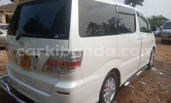 Nunua Ilio tumika Toyota Alphard Nyeupe Gari ndani ya Adjumani nchini Kaskazini Nunua Ilio tumika Toyota Alphard Nyeupe Gari ndani ya Adjumani nchini Kaskazini