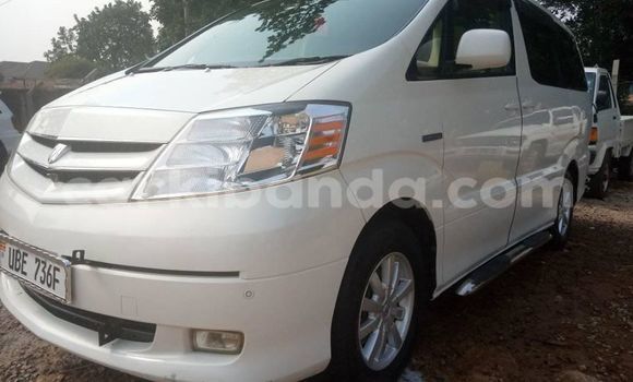 Nunua Ilio tumika Toyota Alphard Nyeupe Gari ndani ya Adjumani nchini Kaskazini Nunua Ilio tumika Toyota Alphard Nyeupe Gari ndani ya Adjumani nchini Kaskazini