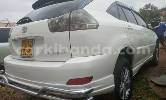 Nunua Ilio tumika Toyota Harrier Nyeupe Gari ndani ya Adjumani nchini Kaskazini Nunua Ilio tumika Toyota Harrier Nyeupe Gari ndani ya Adjumani nchini Kaskazini