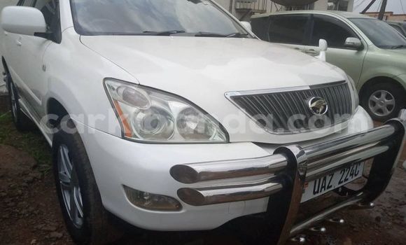 Nunua Ilio tumika Toyota Harrier Nyeupe Gari ndani ya Adjumani nchini Kaskazini Nunua Ilio tumika Toyota Harrier Nyeupe Gari ndani ya Adjumani nchini Kaskazini