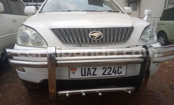 Nunua Ilio tumika Toyota Harrier Nyeupe Gari ndani ya Adjumani nchini Kaskazini Nunua Ilio tumika Toyota Harrier Nyeupe Gari ndani ya Adjumani nchini Kaskazini