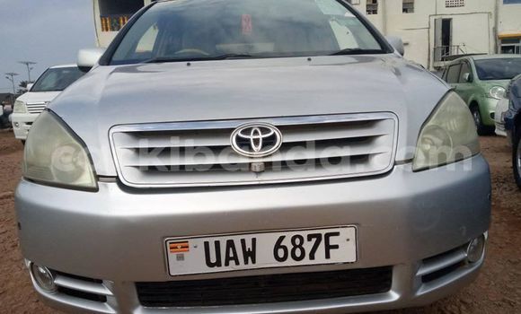 Nunua Ilio tumika Toyota Picnic Fedha Gari ndani ya Adjumani nchini Kaskazini Nunua Ilio tumika Toyota Picnic Fedha Gari ndani ya Adjumani nchini Kaskazini