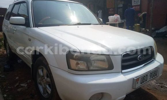 Buy Used Subaru Forester White Car in Adjumani in Northern