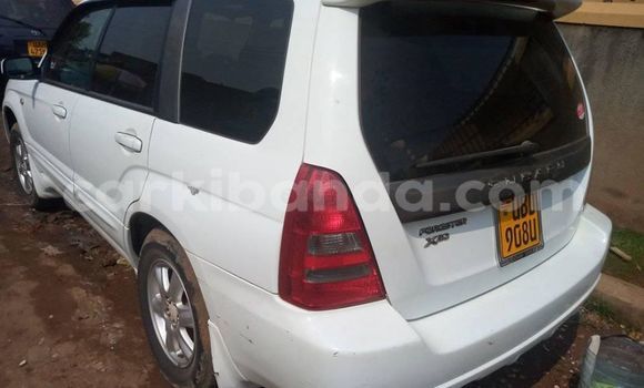 Nunua Ilio tumika Subaru Forester Nyeupe Gari ndani ya Adjumani nchini Kaskazini Nunua Ilio tumika Subaru Forester Nyeupe Gari ndani ya Adjumani nchini Kaskazini