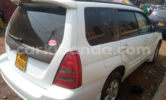 Nunua Ilio tumika Subaru Forester Nyeupe Gari ndani ya Adjumani nchini Kaskazini Nunua Ilio tumika Subaru Forester Nyeupe Gari ndani ya Adjumani nchini Kaskazini