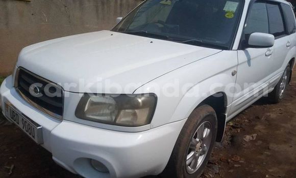 Nunua Ilio tumika Subaru Forester Nyeupe Gari ndani ya Adjumani nchini Kaskazini Nunua Ilio tumika Subaru Forester Nyeupe Gari ndani ya Adjumani nchini Kaskazini