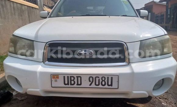 Nunua Ilio tumika Subaru Forester Nyeupe Gari ndani ya Adjumani nchini Kaskazini Nunua Ilio tumika Subaru Forester Nyeupe Gari ndani ya Adjumani nchini Kaskazini
