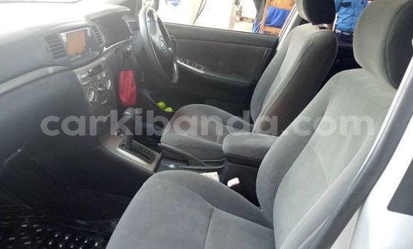 Nunua Ilio tumika Toyota Allex Fedha Gari ndani ya Adjumani nchini Kaskazini Nunua Ilio tumika Toyota Allex Fedha Gari ndani ya Adjumani nchini Kaskazini