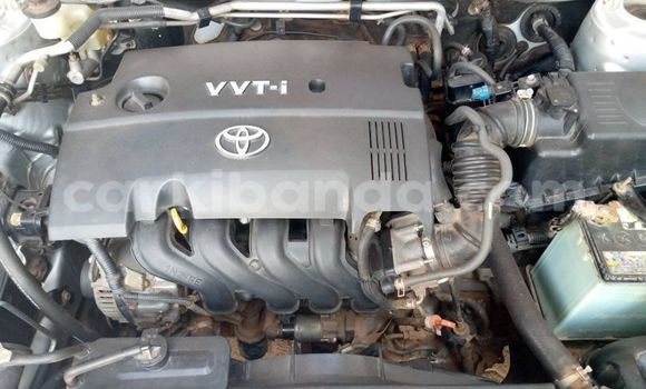 Nunua Ilio tumika Toyota Allex Fedha Gari ndani ya Adjumani nchini Kaskazini Nunua Ilio tumika Toyota Allex Fedha Gari ndani ya Adjumani nchini Kaskazini