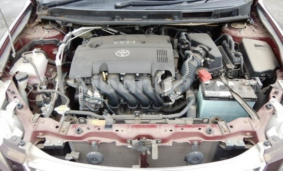 Buy Used Toyota Premio Brown Car in Kampala in Uganda Buy Used Toyota Premio Brown Car in Kampala in Uganda