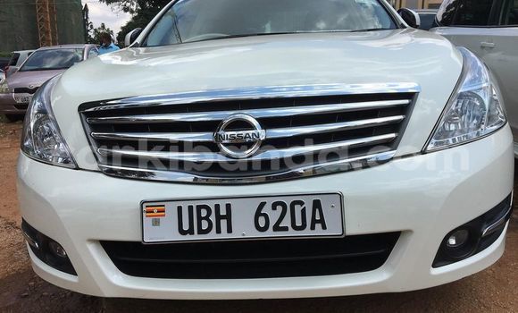 Buy Used Nissan Teana White Car in Adjumani in Northern